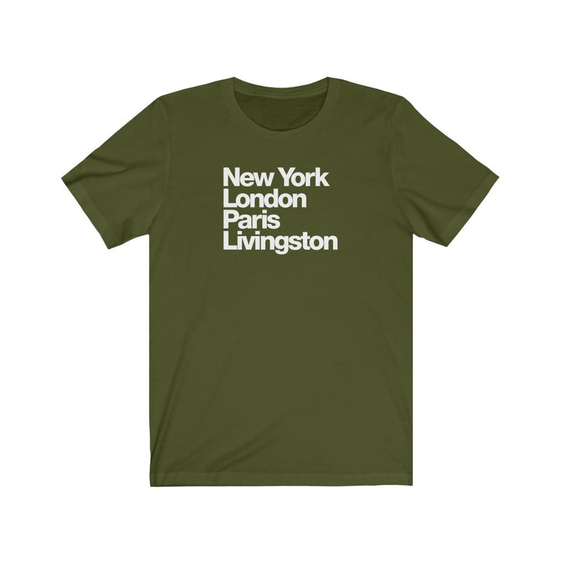 Livingston [MT1]